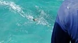 Korban diketahui bernama Yohanes Reza Mahendra, 40 tahun, warga Petoran, RT 03/ RW 05, Jebres, Solo, Jawa Tengah. (Dok. Fin)