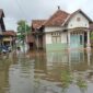 Kondisi rumah warga yang masih tergenang banjir di Kabupaten Kudus. (Dok. BPBD Kabupaten Kudus)