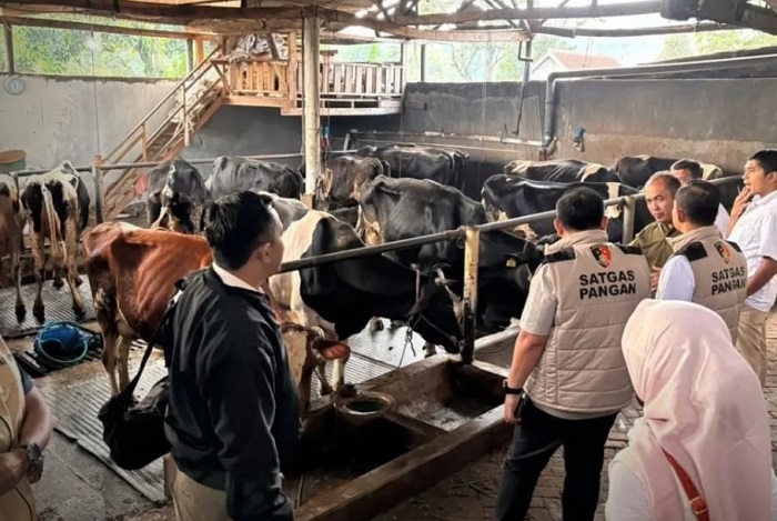 Satgas Pangan Polri melakukan monitoring keamanan, mutu dan penyerapan susu segar di wilayah Jawa Timur.  (Instagram.com @bptuhpt_padangmengatas)