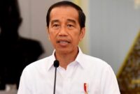 Mantan Presiden Joko Widodo. (Dok. presidenri.go.id)