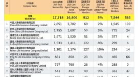 2025 IDA Membership Statistics — Global Rankings of Member Companies